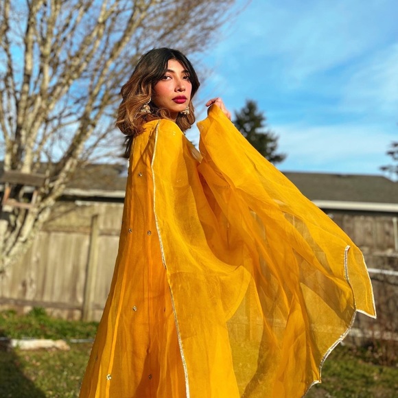 Agha Noor bridal dress Pakistani - Picture 5 of 9